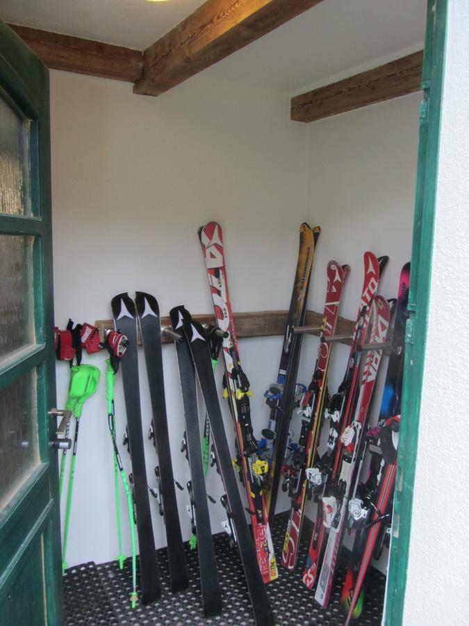 Chalet Hoamatl Haus im Ennstal Bagian luar foto
